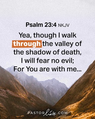 Yea, though I walk through the valley of the shadow of death, I will fear no evil;
For You are with me. Psalm 23:4 New King James Version.